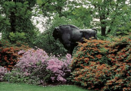 Rhododendron-Park